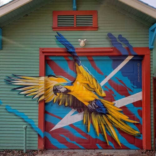 macaw in college | Murals by Fasm Creative