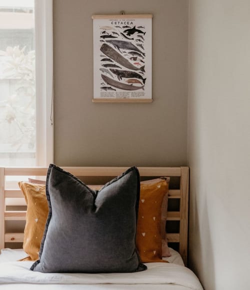 Cetacea print | Wall Hangings by Kelsey Oseid