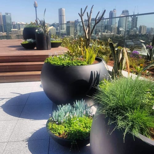 Loob By The Balcony Garden Seen At Exotic Nurseries Landscaping Dural Wescover