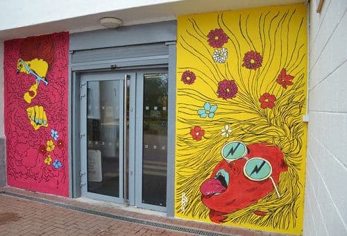 WITSU mural | Murals by Brandon O'Rourke | WITSU in Waterford