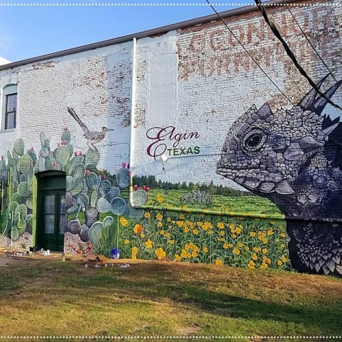 TX Horned Lizard Mural | Street Murals by Sarah J Blankenship