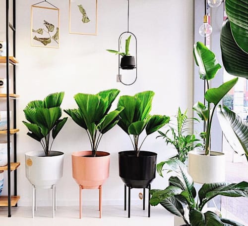 Spun Planters | Vases & Vessels by YIELD | Hass & Co Botanics in Leederville