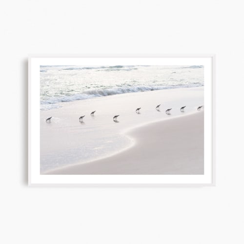 Minimalist beach photograph, 'Sanderlings' sandpiper print | Photography by PappasBland