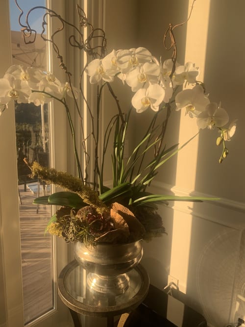 Grand orchid and succulent arrangements | Floral Arrangements by Fleurina Designs
