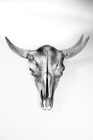 Titanium Covered Buffalo Skull | Ornament in Decorative Objects by Gypsy Mountain Skulls