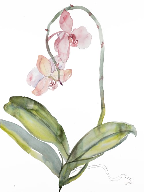 Orchid No. 9 : Original Watercolor Painting | Paintings by Elizabeth Beckerlily bouquet