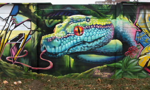 In the Jungle of the Rainbow Snake | Street Murals by Nick Sweetman | Value Village in Toronto
