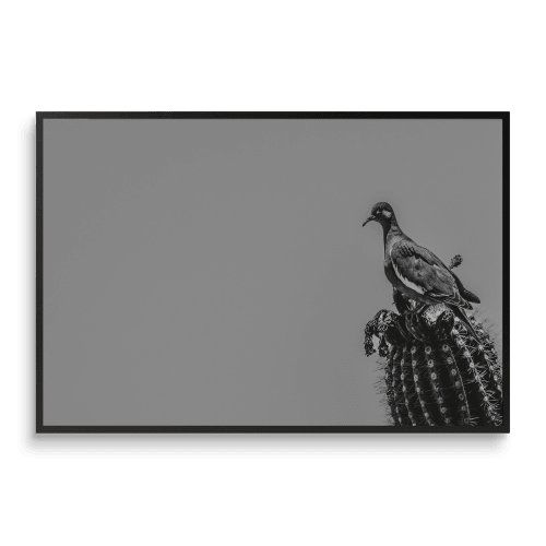 PERCH | Minimalist Wall Art | Monochrome Print | Photography by Jess Ansik