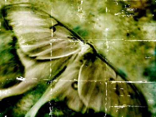 FRAGMENTED 1 | Photography by Pam Moxley Mixed Media | Marietta Square in Marietta