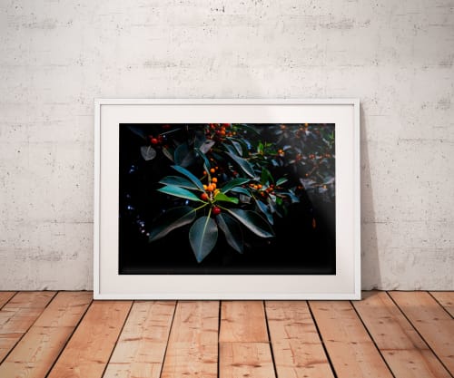 Orange, Green and Dark | Limited Edition Print | Photography by Tal Paz-Fridman | Limited Edition Photography