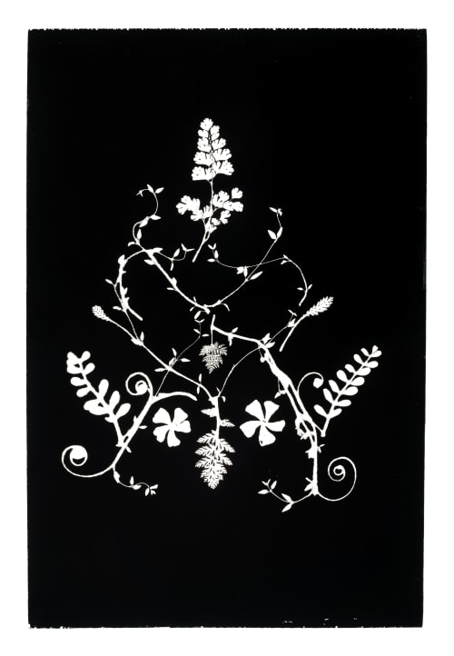 Botanical Collage II | Prints by Erik Linton