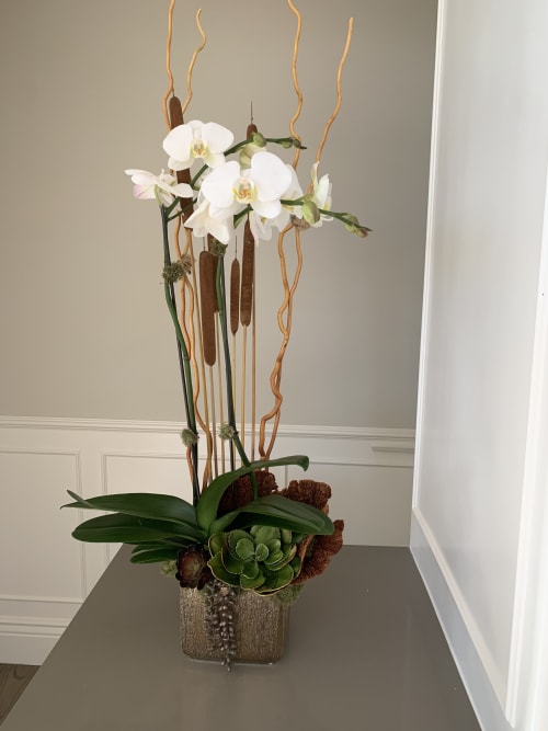 Orchid arrangement | Floral Arrangements by Fleurina Designs