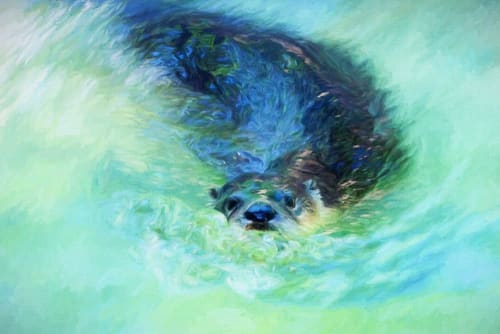 Summer Swim | Photography by Judy Reinford