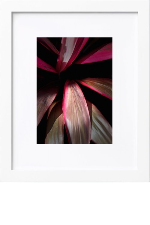 Natural Unfolding | Photography by KNOF design