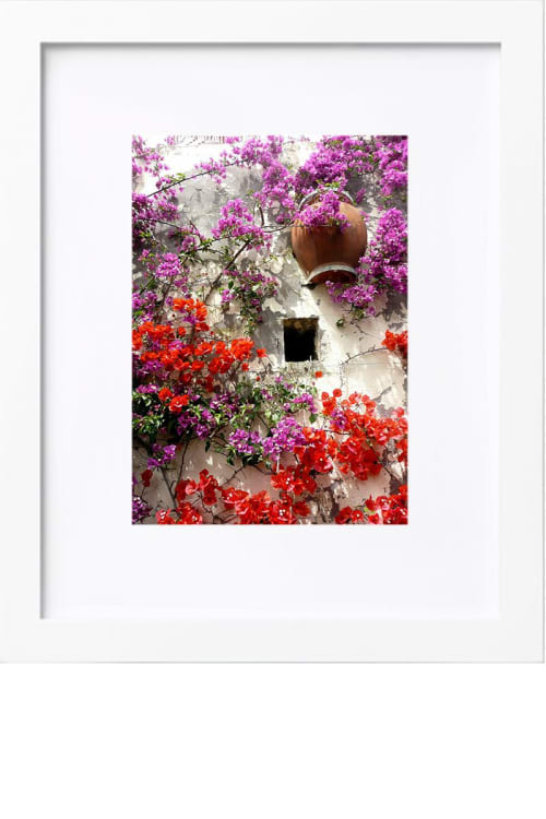 Bougainvillea | Photography by KNOF design