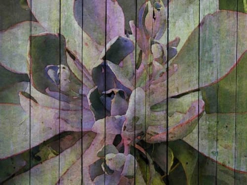 Abundance | Paintings by Irena Orlov