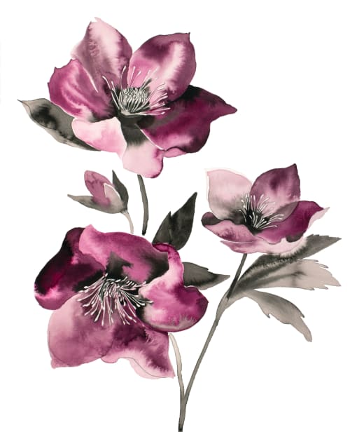 Hellebore No. 37 : Original Ink Painting | Paintings by Elizabeth Becker