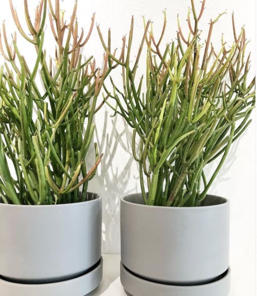 Round Two by Revival ceramics | Vases & Vessels by LBE Design