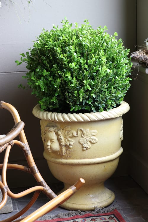 Yellow Planters | Vases & Vessels by Jonathan Rachman Design | SF Decorator Showcase 2019 in San Francisco