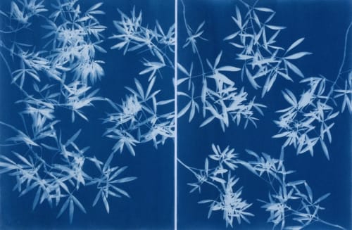 Light through Leaves Diptych (Two 18x24 handmade cyanotypes) | Photography by Christine So