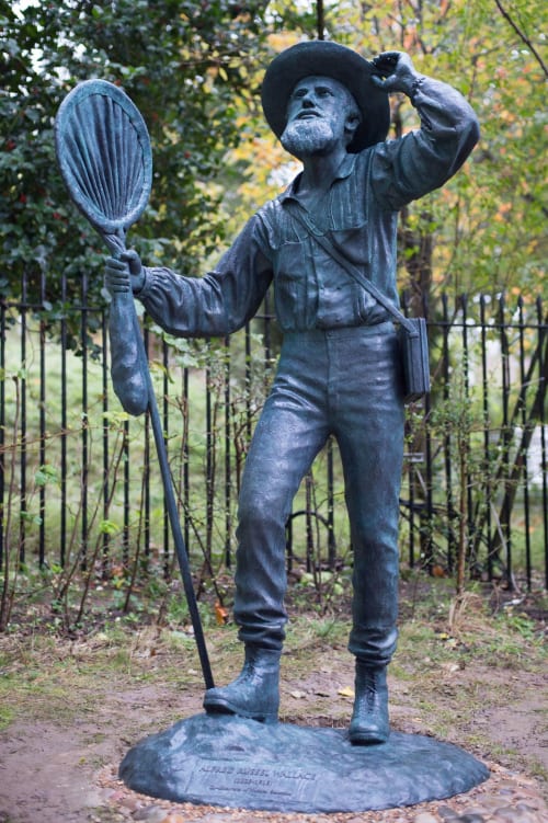 Alfred Russel Wallace | Public Sculptures by Anthony Smith Sculpture | Natural History Museum in London