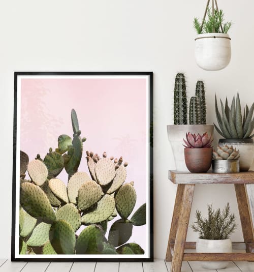 Prickly Pear Cactus on Pink | Photography by Capricorn Press