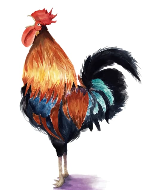 Key West Rooster | Watercolor Painting in Paintings by Clementine Studio | The Perry Hotel - Key West in Key West
