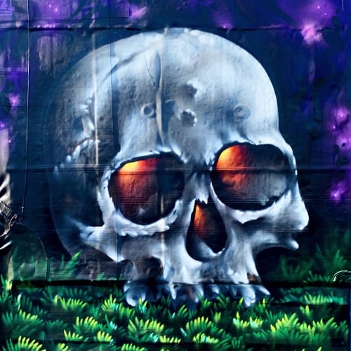 Bakery Studios Mural Garden - Rooftop Skull Mural