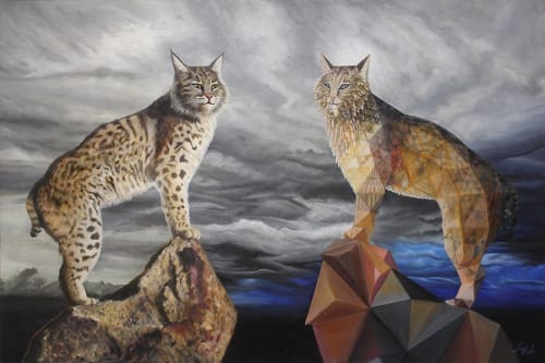 56-Bobcats Reflect | Paintings by Vincent Fink