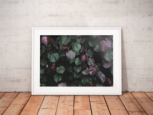Winter leaves I | Limited Edition Print | Photography by Tal Paz-Fridman | Limited Edition Photography
