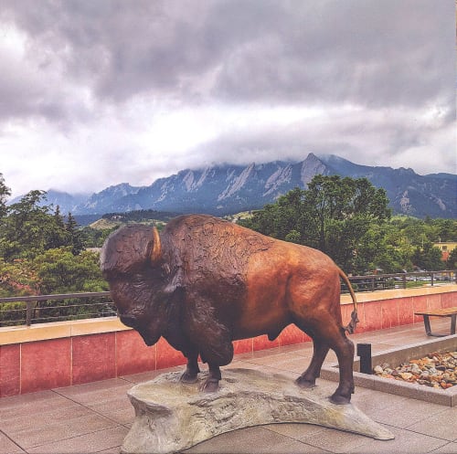 Silver and Gold by Denny Haskew, NSG | Public Sculptures by JK Designs and the National Sculptors' Guild | University of Colorado Boulder in Boulder