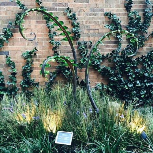 Fiddlehead Remembrance | Public Sculptures by Chris Nordin Studios | St. Joseph Mercy Ann Arbor in Ypsilanti