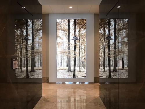 Sepia forest - back-lit photographic collages | Mixed Media by Rica Belna