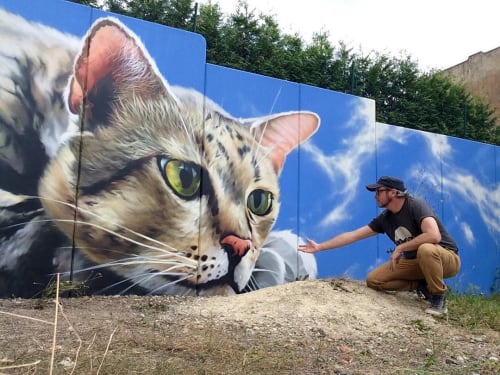 Cat | Street Murals by TASSO