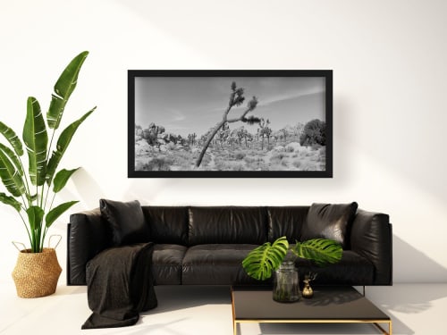 The Leaner | Photography by Renee Torres