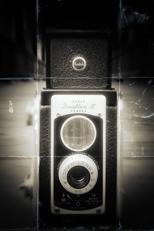 Captured 4 | Photography by Pam Moxley Mixed Media