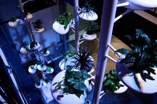 Vertical Garden Installation for BMW | Planter in Vases & Vessels by Danielle Trofe Design | Bryant Park in New York