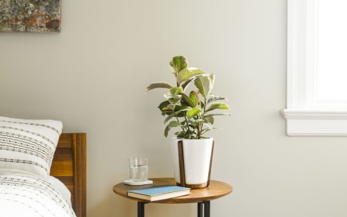 Base Planter | Furniture by Fire Road | Bayview in San Francisco