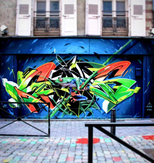 Frog Mural | Street Murals by Camille Alberni aka Dege