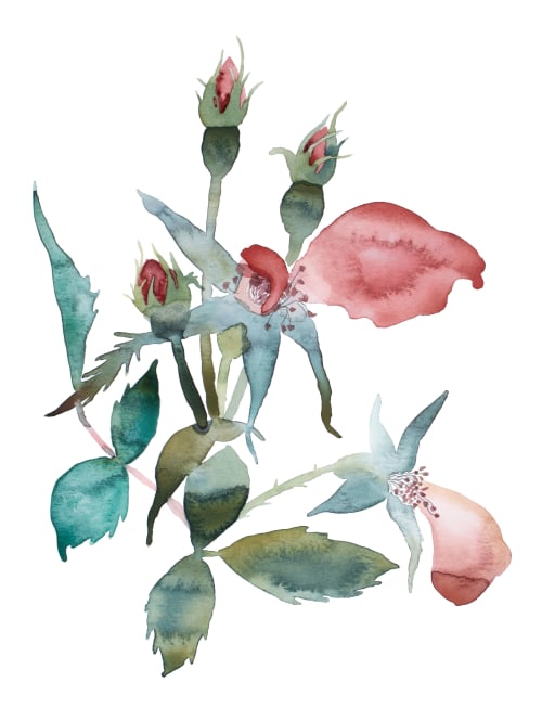 Rose Study No. 76 : Original Watercolor Painting | Paintings by Elizabeth Becker