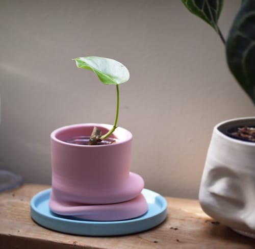 Plop Planter | Vases & Vessels by Philip Kupferschmidt | And Their Plant Stories in Seattle