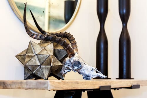 Africa | Decorative Objects by Gypsy Mountain Skulls
