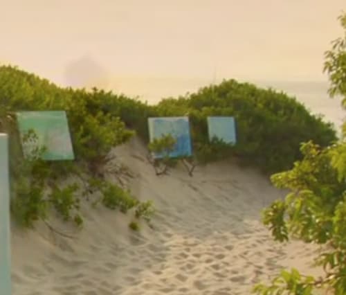 Paintings from the film: "A DREAM OF BLUE"