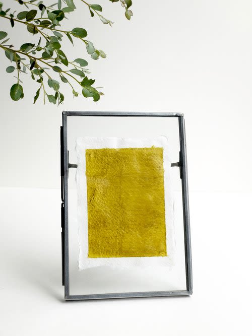 Elkhorn | Watercolor Painting in Paintings by Emily Tingey