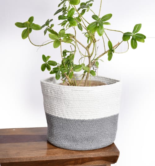 Organic Cotton handwoven Planters- Plant Pots (Set of 4 ) | Vases & Vessels by Humanity Centred Designs