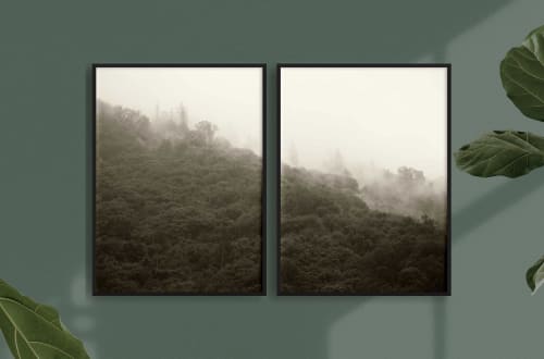 City of Trees | Photography by Renee Torres