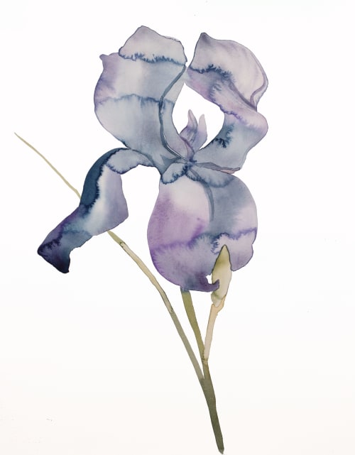 Iris No. 171 : Original Watercolor Painting | Paintings by Elizabeth Becker