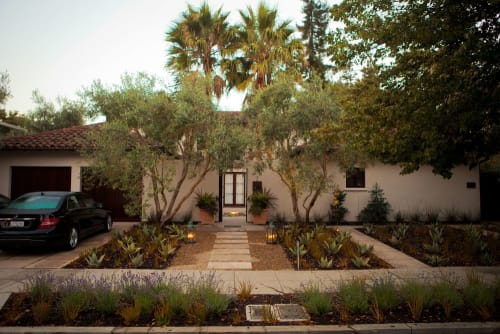 Villa Bougainvillea - Palo Alto | Plants & Landscape by Zeterre Landscape Architecture