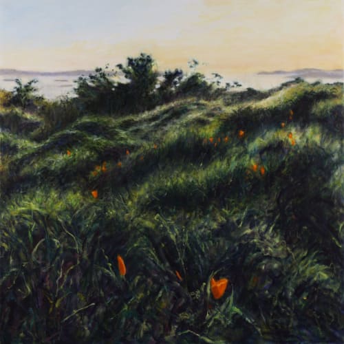 California Poppies | Oil And Acrylic Painting in Paintings by Sally K. Smith