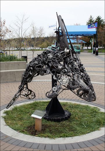 Breaching Orca | Public Sculptures by Carl Sean McMahon | Maffeo Sutton Park in Nanaimo